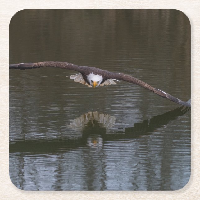 Posavasos Cuadrado De Papel Águila calva en vuelo (Anverso)