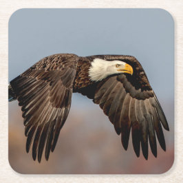 Posavasos Cuadrado De Papel Águila calva en vuelo
