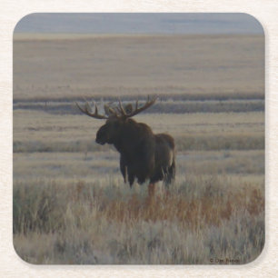 Posavasos Cuadrado De Papel Alce M1