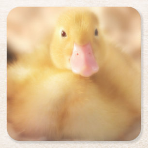Posavasos Cuadrado De Papel Alegre bebé de Pascua de Pato Amarillo Duckland