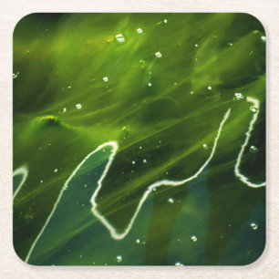 Posavasos Cuadrado De Papel Algas verdes y costa del agua