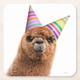 Posavasos Cuadrado De Papel Alpaca vistiendo Gorras Fiestas