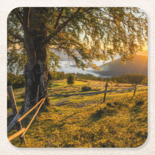Posavasos Cuadrado De Papel Amanecer brumoso en un bosque