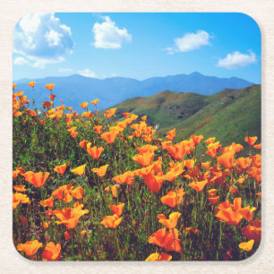Posavasos Cuadrado De Papel Amapolas de California cubriendo una ladera