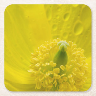 Posavasos Cuadrado De Papel Amarillo oriental