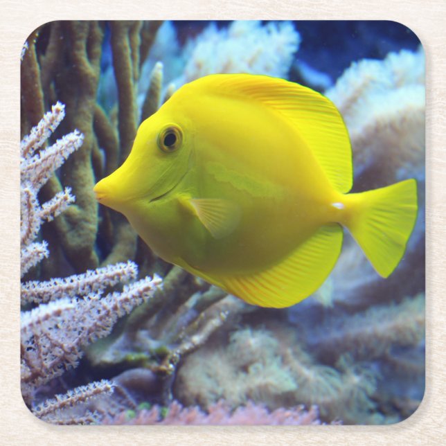 Posavasos Cuadrado De Papel Amarillo Saltwater Tang Fish (Anverso)