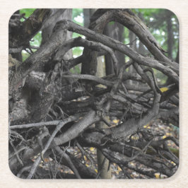 Posavasos Cuadrado De Papel Amor a un árbol caído