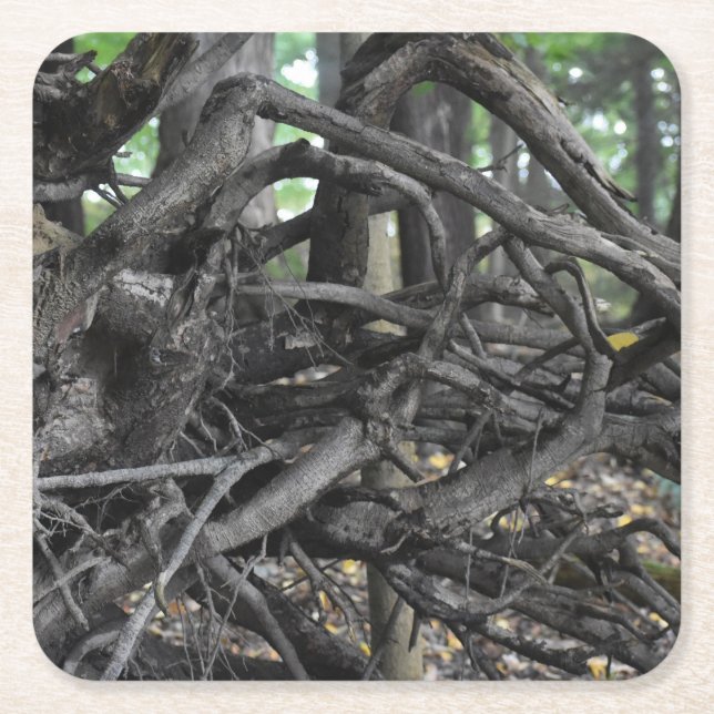 Posavasos Cuadrado De Papel Amor a un árbol caído (Anverso)