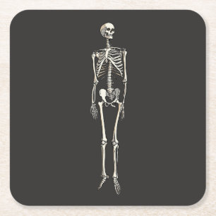 Posavasos Cuadrado De Papel Anatomía de esqueleto humano dibujo de arte pop có