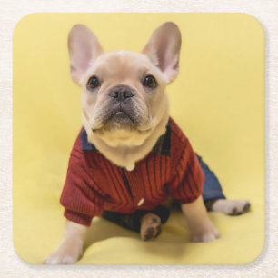 Posavasos Cuadrado De Papel Animales de bebé más afectados Bulldog francés V