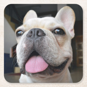 Posavasos Cuadrado De Papel Animales de bebé más afectados Cara de Bulldog f