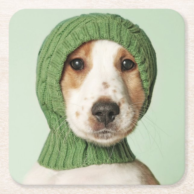 Posavasos Cuadrado De Papel Animales de bebé más afectados | Cocker Spaniel Pu (Anverso)