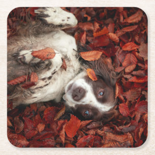 Posavasos Cuadrado De Papel Animales de bebé más afectados   Español en hojas 