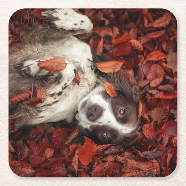 Posavasos Cuadrado De Papel Animales de bebé más afectados | Español en hojas  (Anverso)