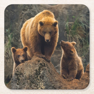 Posavasos Cuadrado De Papel Animales de bebé más afectados Familia de oso ma