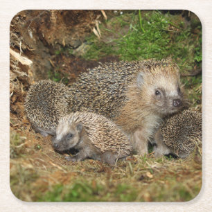 Posavasos Cuadrado De Papel Animales de bebé más afectados   Familia Hedgehog