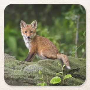 Posavasos Cuadrado De Papel Animales de bebé más afectados   Foxy Smile