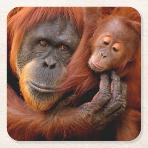 Posavasos Cuadrado De Papel Animales de bebé más afectados Mamá y bebé de Or