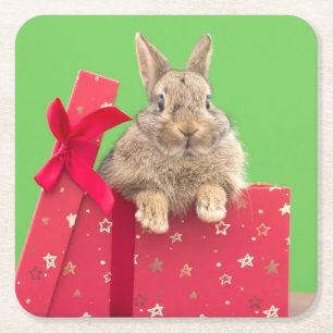 Posavasos Cuadrado De Papel Animales de bebé más afectados Navidades Holiday