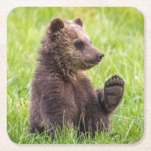 Posavasos Cuadrado De Papel Animales de bebé más afectados Ola de Oso Marrón