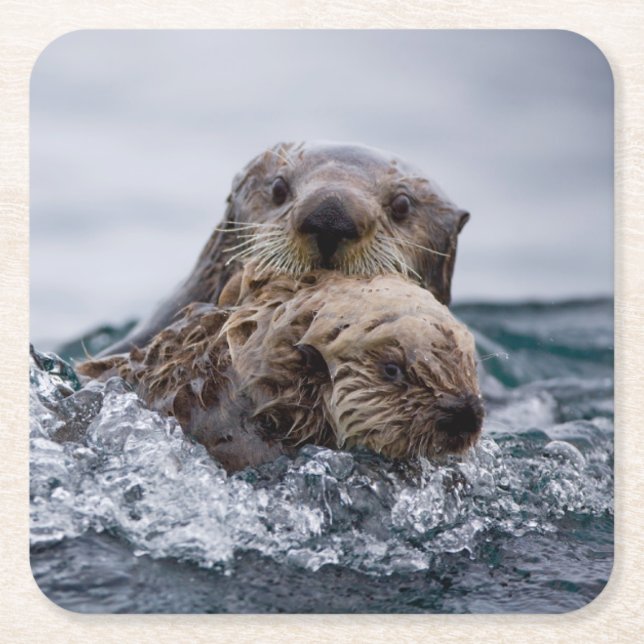 Posavasos Cuadrado De Papel Animales de bebé más afectados | Otter Baby & Moth (Anverso)