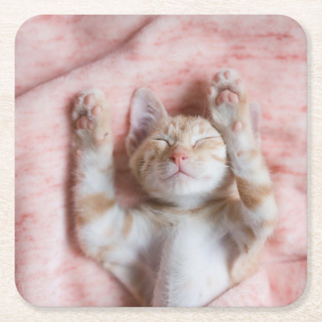 Posavasos Cuadrado De Papel Animales de bebé más afectados | Pequeño Naranja a (Anverso)