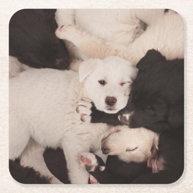 Posavasos Cuadrado De Papel Animales de bebé más afectados | Pila de cachorros (Anverso)