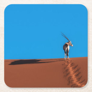 Posavasos Cuadrado De Papel Antílope del Oryx en el desierto de Namib