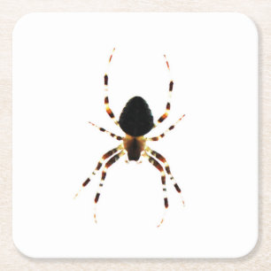 Posavasos Cuadrado De Papel Araña