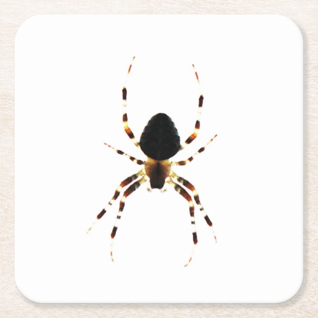 Posavasos Cuadrado De Papel Araña (Anverso)