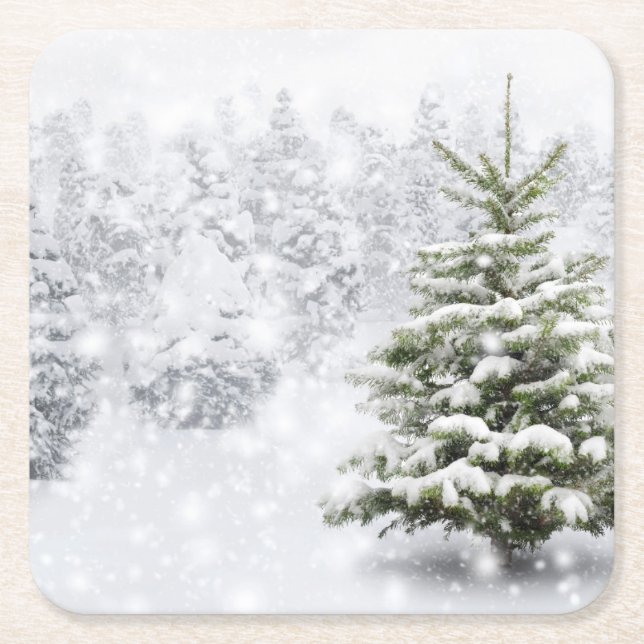 Posavasos Cuadrado De Papel Árbol de abeto en nieve gruesa (Anverso)