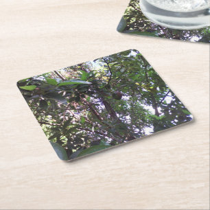 Posavasos Cuadrado De Papel Árbol de aguacate