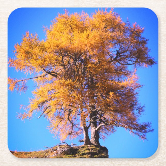Posavasos Cuadrado De Papel Árbol otoñal (Anverso)