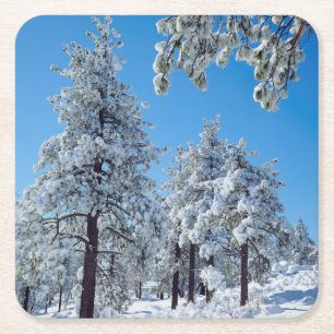 Posavasos Cuadrado De Papel Árboles cubiertos de nieve en las montañas Laguna