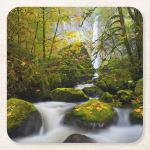 Posavasos Cuadrado De Papel Arce de hoja grande de McCord Creek Columbia Gor