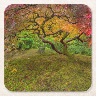 Posavasos Cuadrado De Papel Arce japonés en color de otoño