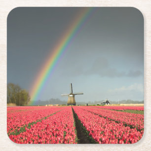 Posavasos Cuadrado De Papel Arco iris, tulipanes y práctico de costa del