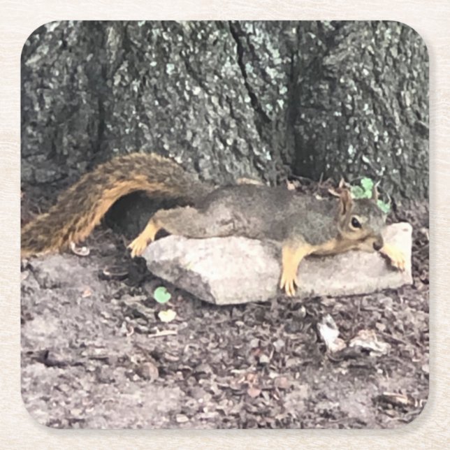 Posavasos Cuadrado De Papel Ardilla (Anverso)