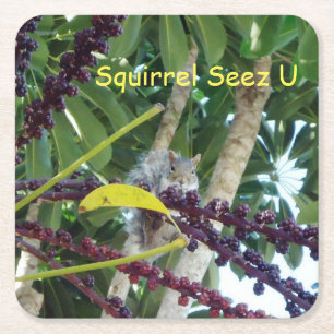 Posavasos Cuadrado De Papel Ardilla Seez U