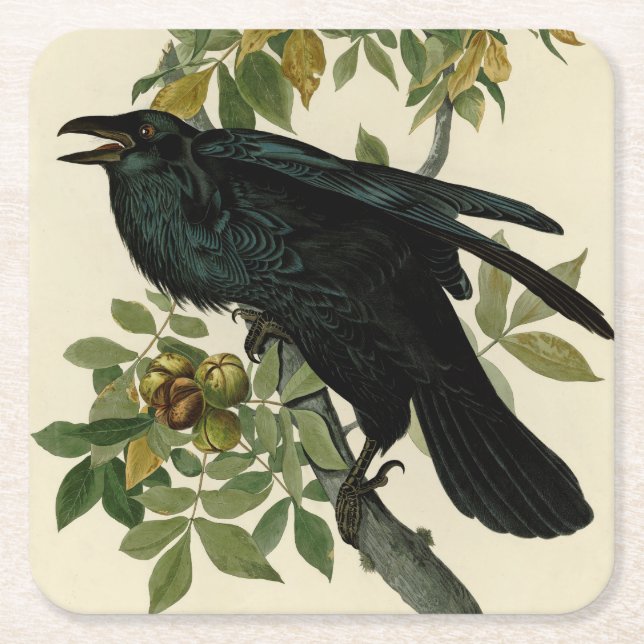 Posavasos Cuadrado De Papel Arte clásico Audubon Raven (Anverso)