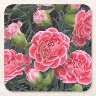 Posavasos Cuadrado De Papel Asombroso Dianthus