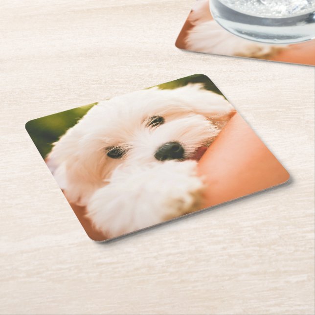 Posavasos Cuadrado De Papel Astilleras de perro cúbico 2 (En perspectiva)