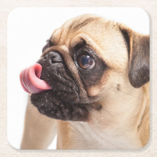 Posavasos Cuadrado De Papel Astilleras de perros cutáneos 4
