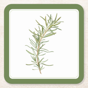 Posavasos Cuadrado De Papel Astras de papel cuadradas de ROSEMARY FRESCOS (-te