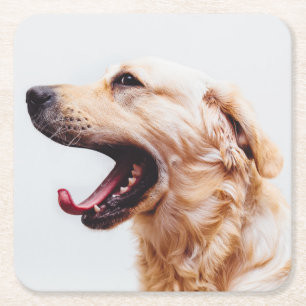 Posavasos Cuadrado De Papel Astras de perro de cuta 1