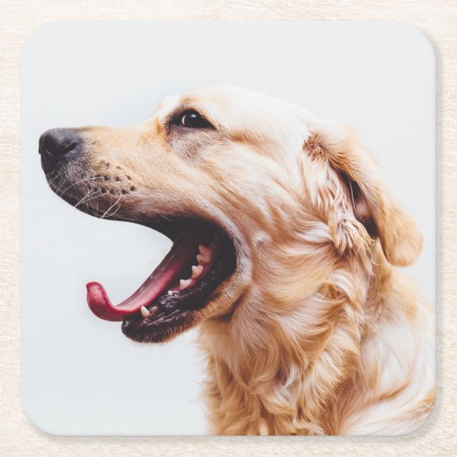 Posavasos Cuadrado De Papel Astras de perro de cuta 1 (Anverso)