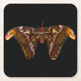 Posavasos Cuadrado De Papel Atlas Moth - cabeza de serpiente