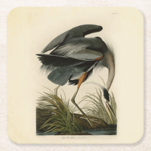 Posavasos Cuadrado De Papel Audubon Great Blue Heron Marsh Bird