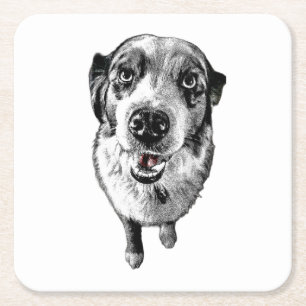 Posavasos Cuadrado De Papel Aussie Look – Red Tongue Dog Coaster