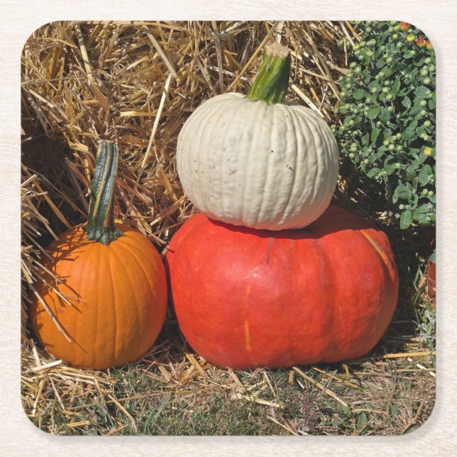 Posavasos Cuadrado De Papel Autumn pumpkins (Anverso)